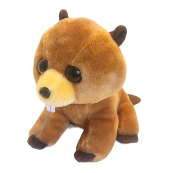 Ty Beanie  Richie The Beaver Plush - Picture 1 of 8
